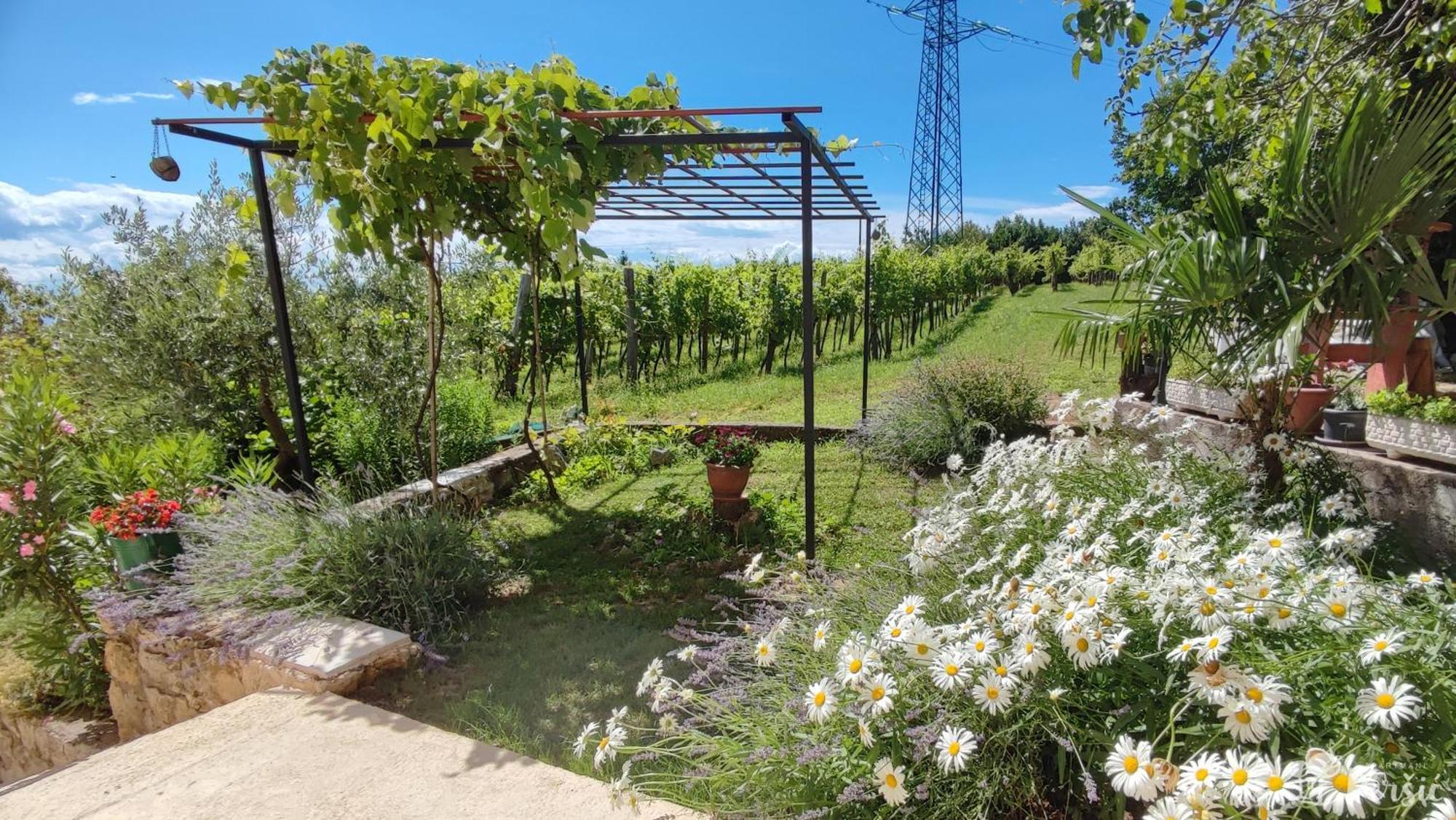 Apartman Persic Mošćenička Draga Extérieur photo